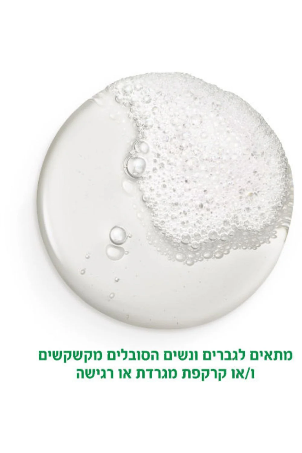 תמונת מוצר 2