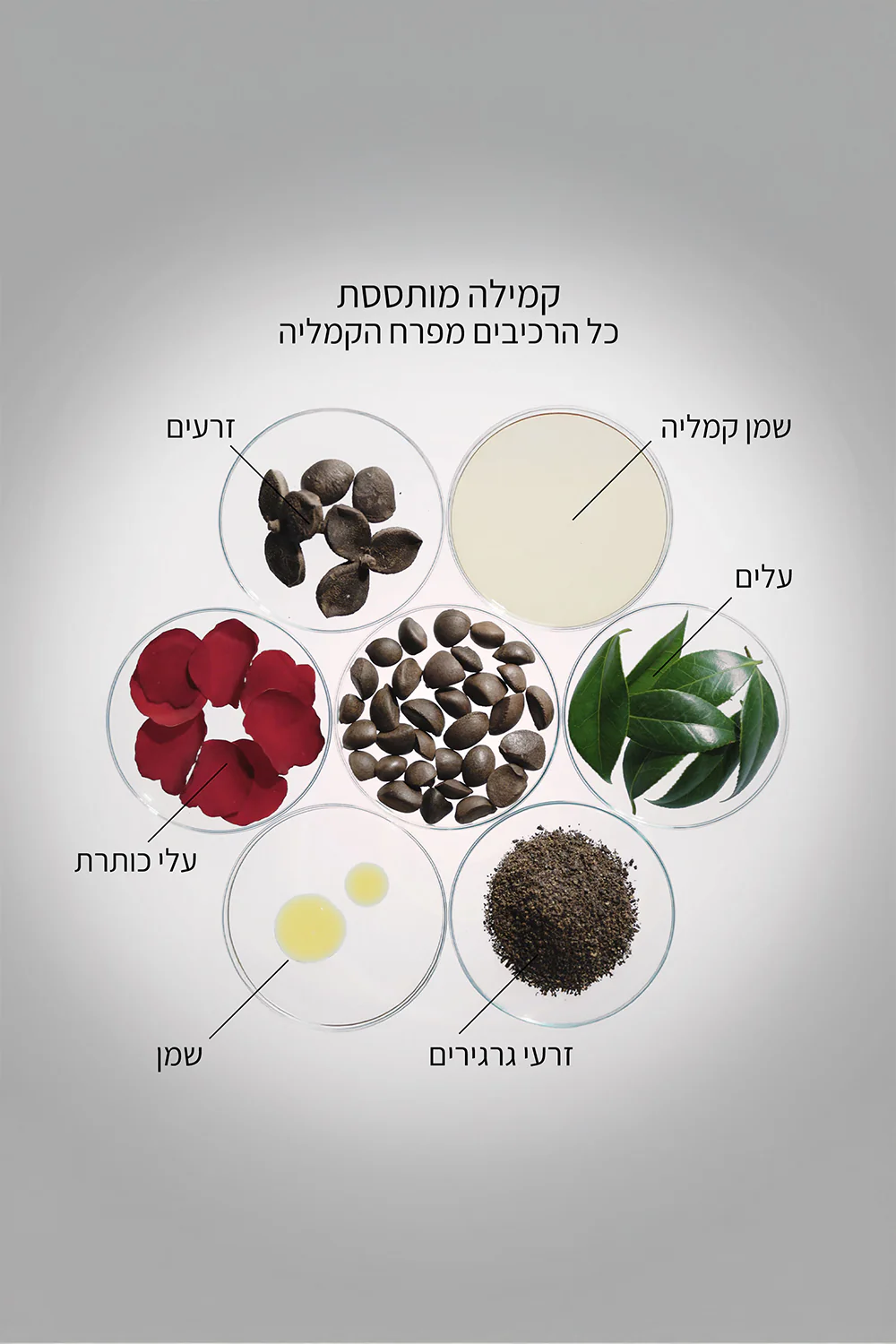 תמונת מוצר 4