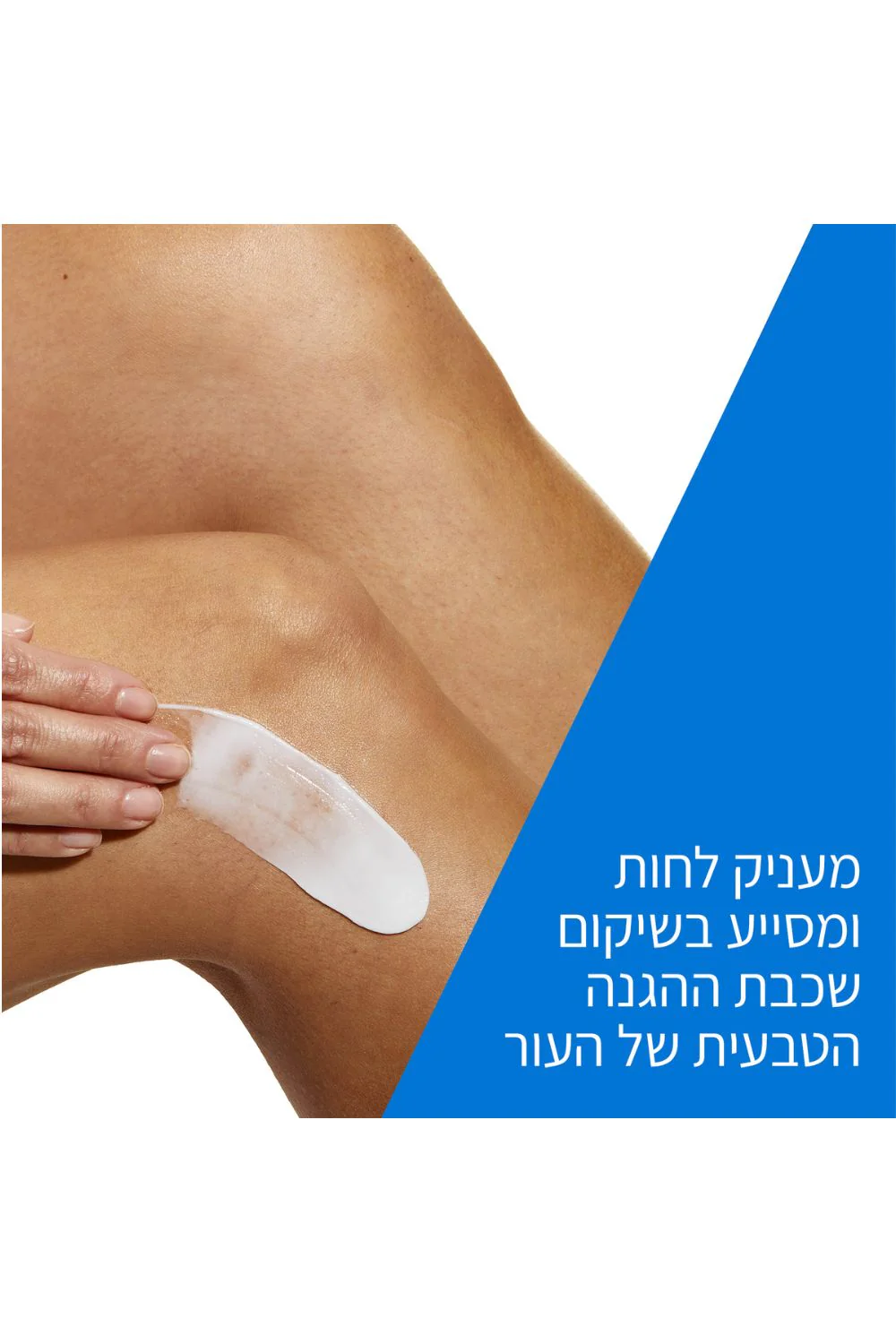 תמונת מוצר 2