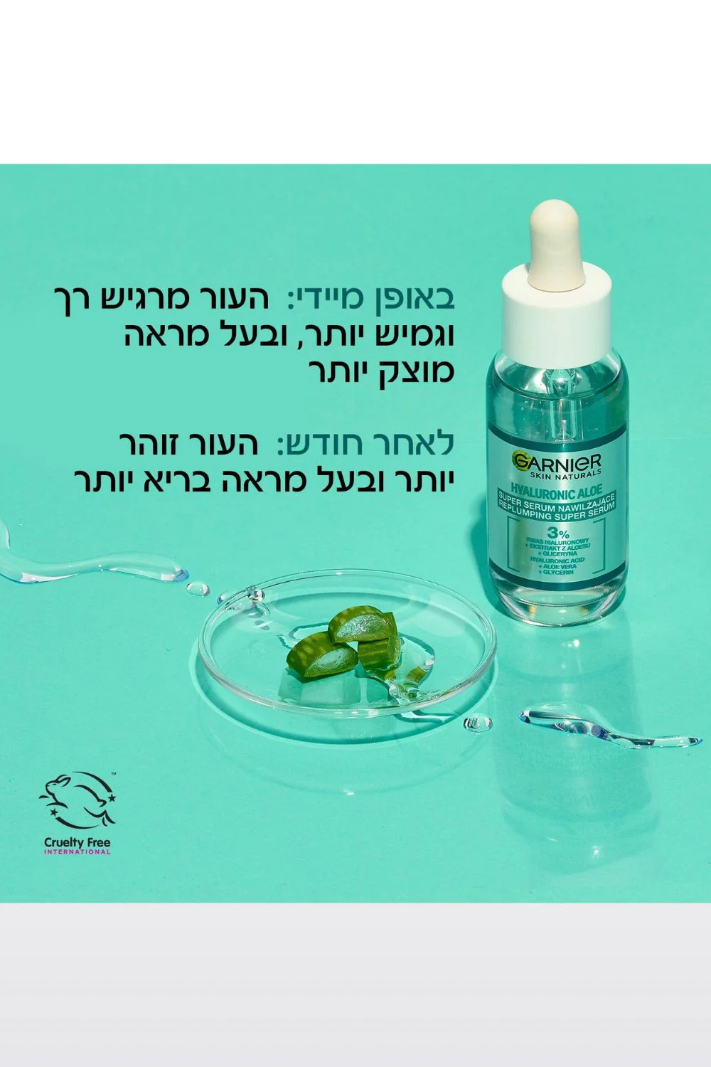 תמונת מוצר 2